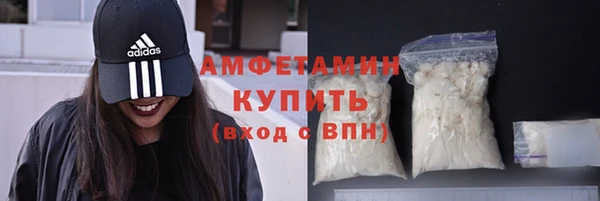 винт Инта