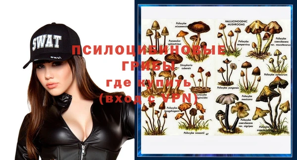 винт Инта