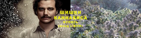 винт Инта