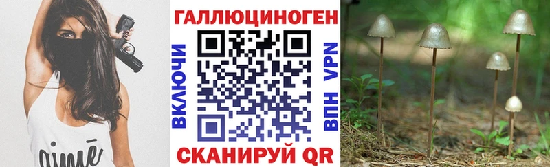 Купить  Исилькуль  Галлюциногенные грибы мухоморы 